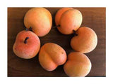 Love Fruit, Orange, 1.25