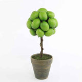 Artificial Lime Topiary, 11