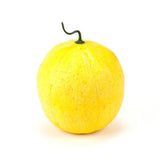Artificial Yellow Cantaloupe, 7.8