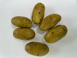 Artificial Brown Baking Potato, Bag of 6