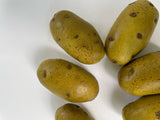 Artificial Brown Baking Potato, Bag of 6
