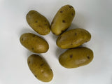 Artificial Brown Baking Potato, Bag of 6