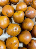 Artificial Small Brown Potato, Bag of 24