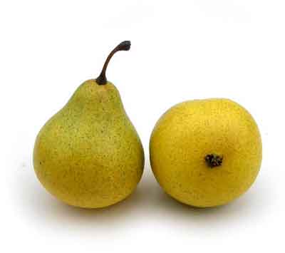Love Fruit, Bag of 24, 1.25" & 1.5", Pear, Yellow/Green
