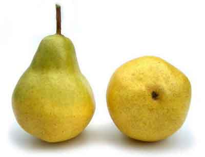 Pear, Yellow/Green, Box of 12