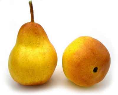 Pear, Yellow/Bosc, Box of 12