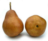 Pear, Russett/Bosc, Box of 12