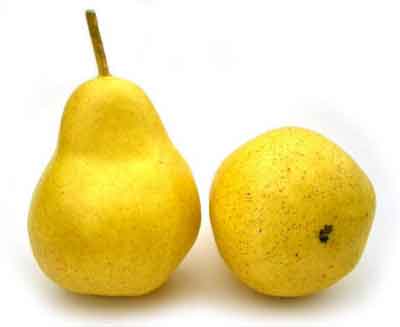 Pear, Golden Yellow, Box of 12