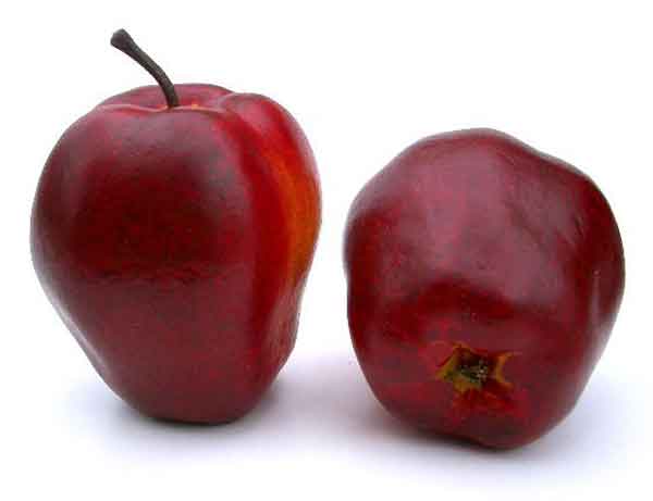 Red Delicious Apple, 3.5" Box of 6