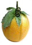 Yellow Cantaloupe, Round, 7.5"