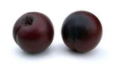Love Fruit, Plum, Bag of 24, 1.25" & 1.5"