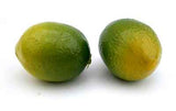 Love Fruit, Lime, Bag of 24, 1.25" & 1.5"