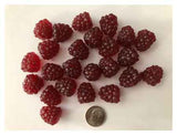 Raspberries, Bag of 24