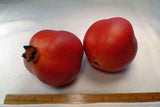 Red Pomegranates, Box of 12