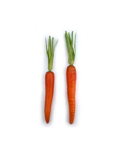 Artificial Carrots, Assorted, Bag of 12