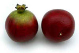 Red/Green Pomegranate, 2.5", Box of 12