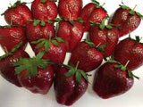 Strawberries, Large, Bag of 24