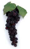 Grape Cluster, 11