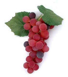 Grape Cluster, 7" Red Wine