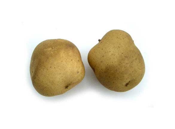 Artificial Small Brown Potato, Bag of 24