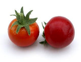 Artificial Cherry Tomato, Bag of 24