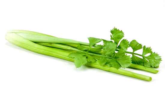 Celery, 1 Bunch of 5 Stalks