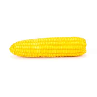 Corn, Ear of Corn, Corn on the Cob, Box of 12