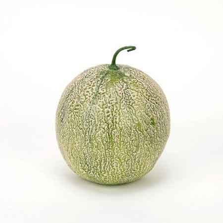 Artificial Green Cantaloupe, 7.8"
