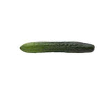 Artificial English Cucumber, 9.5"