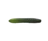 Artificial English Cucumber, 9.5"