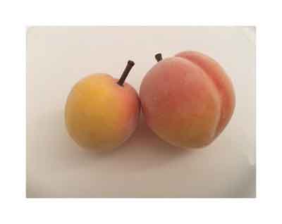 Love Fruit, Peach, 1.25" & 1.5", Bag of 24