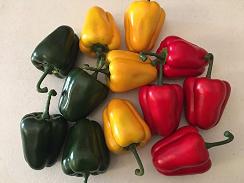 Bell Pepper, Box of 12, Assorted Colors