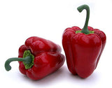 Bell Pepper, Box of 12, Assorted Colors
