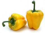 Bell Pepper, Box of 12, Assorted Colors