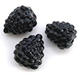 Boysenberry Blackberry, Bag of 24