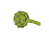 Artichoke, 7.5"